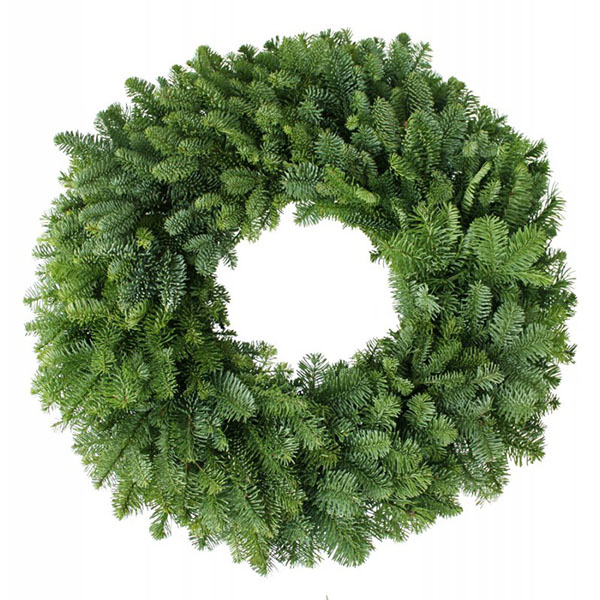 36" Single Faced Noble Fir