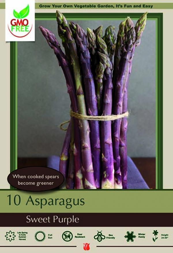 ASPARAGUS SWEET PURPLE
