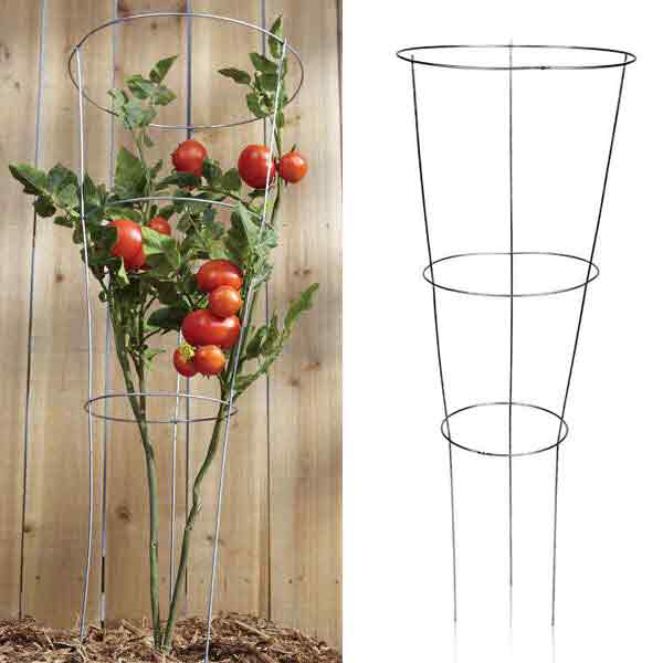 TOMATO CAGE 33\"