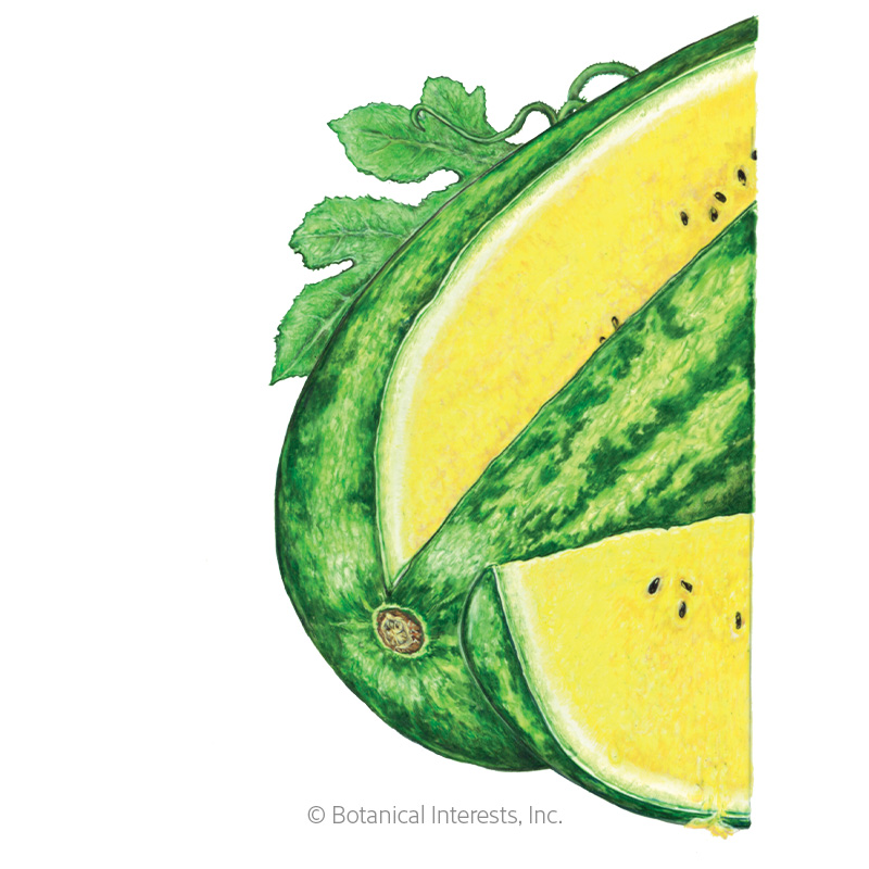 Watermelon Mountain Yellow Org