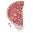 Sprouts Adzuki Bean Org