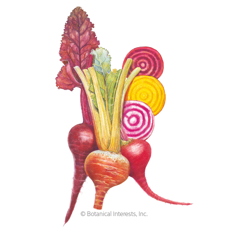 Beet Gourmet Blend