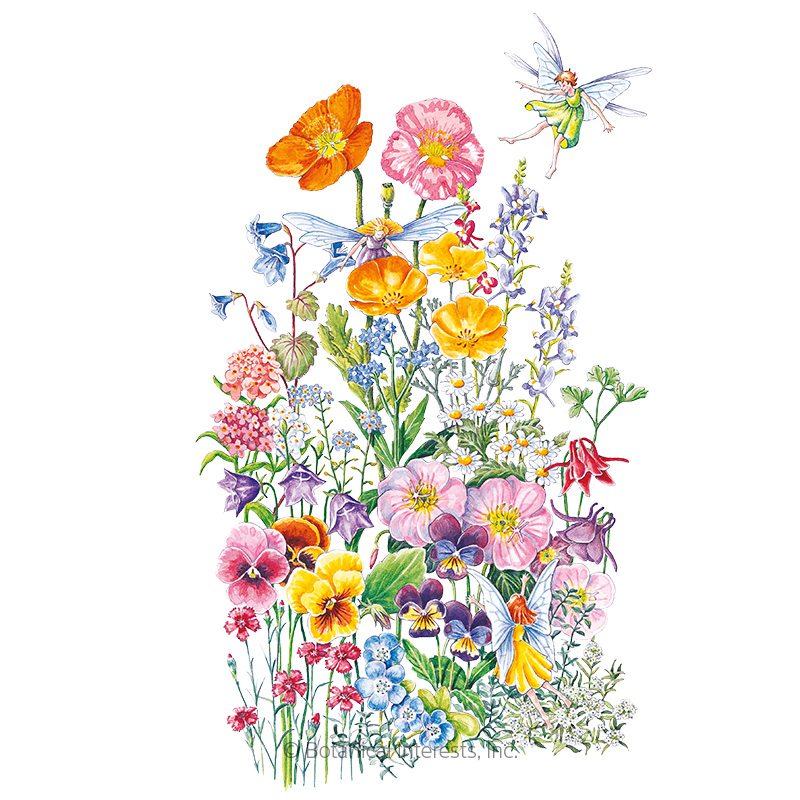 FLOWER MIX FAIRY MEADOW
