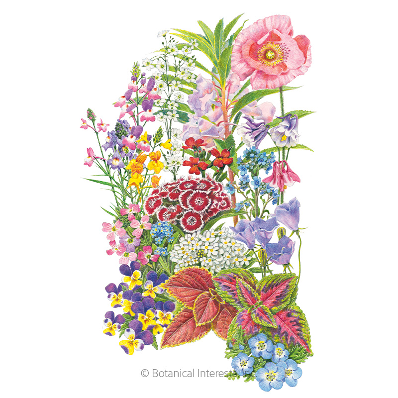 FLOWER MIX MADE IN THE SHADE