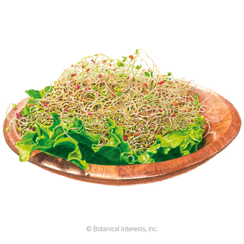 Sprouts Salad Mix Org