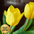 Tulips Yellow (8 per case) w/ Gold Pot Cover