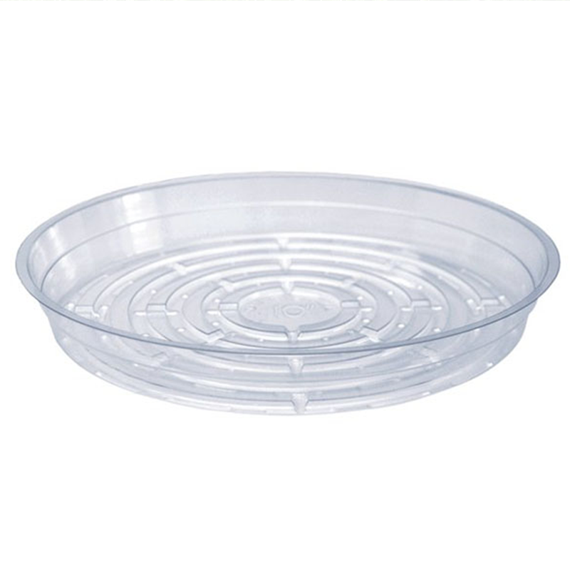 Saucer 12" (each)