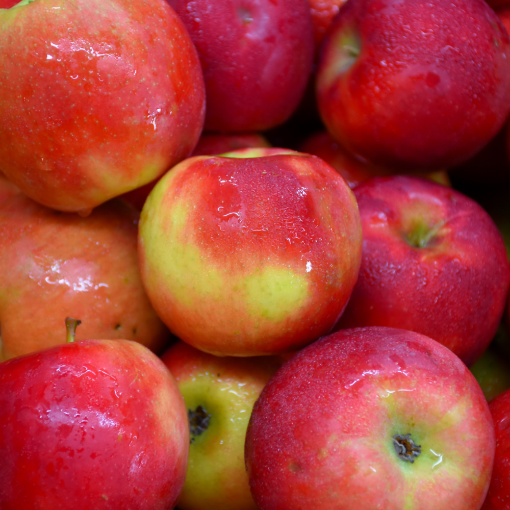 APPLE 'CRIMSON CRISP' 7G