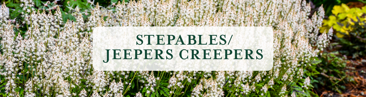 Jeepers Creepers/Stepables