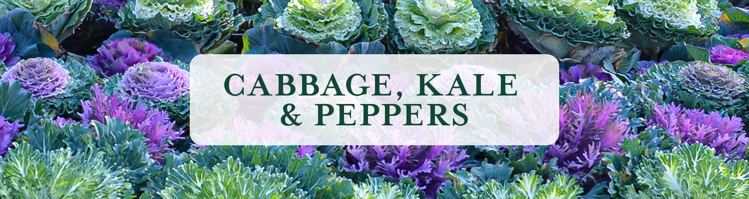 Cabbage, Kale & Peppers