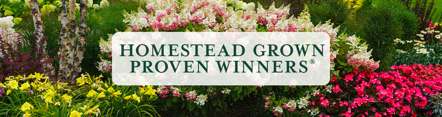 Homestead Grown Proven Winners