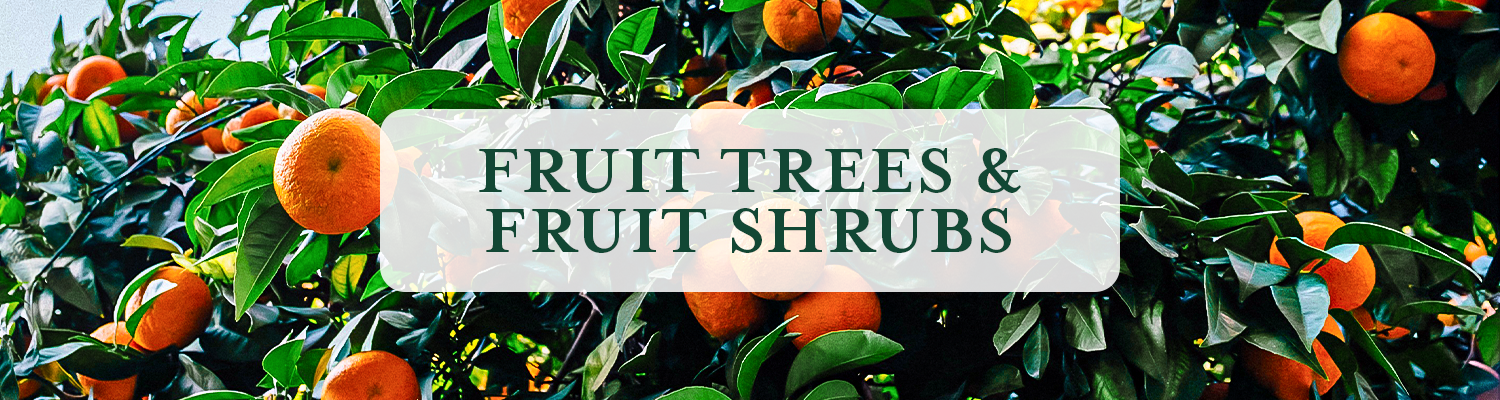 Fruit Trees and Fruit Shrubs