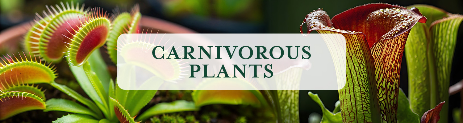 Carnivorous