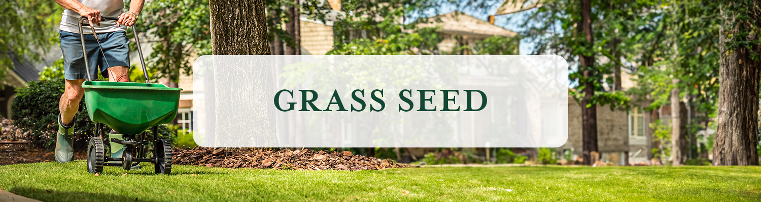 Grass Seed