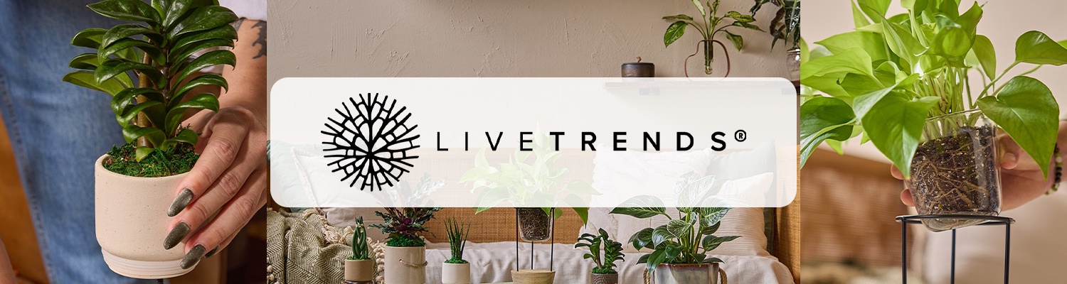 LiveTrends