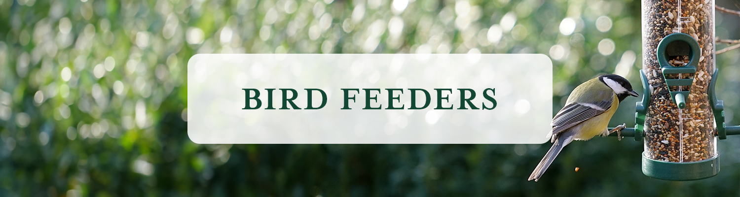 Bird Feeders