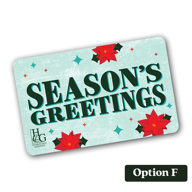 Option F